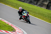 Oulton-Park-21st-March-2020;PJ-Motorsport-Photography-2020;anglesey;brands-hatch;cadwell-park;croft;donington-park;enduro-digital-images;event-digital-images;eventdigitalimages;mallory;no-limits;oulton-park;peter-wileman-photography;racing-digital-images;silverstone;snetterton;trackday-digital-images;trackday-photos;vmcc-banbury-run;welsh-2-day-enduro